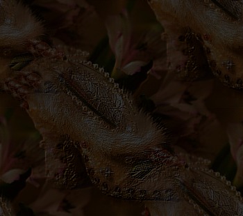 25_8