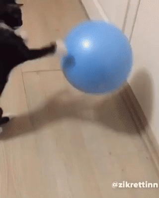 a6d905862607294582f0196f8db09e5d_342249_1563572656