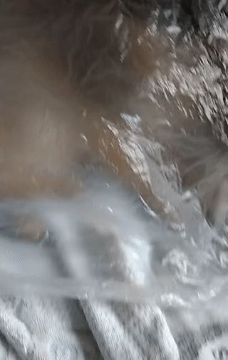 ezgif-5-f6bfb7747740