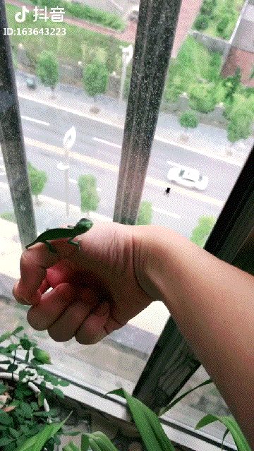 34dca5ef3f495628494e537259d560cf_187763_1552475669