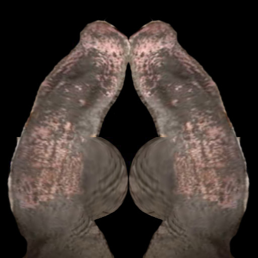 penis_01_gayka 2