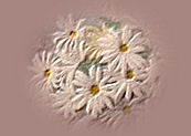 _arnusha