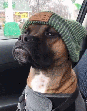 3ce21e3cfbe6c19fa74508a03d684e6a_342249_1564664556