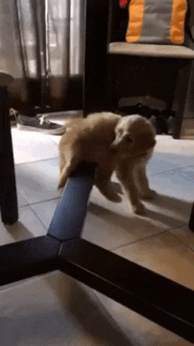 f624f661bf1b8bd0707a6a8189d74172_342249_1564838748