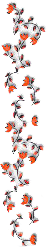 1_3_arnusha