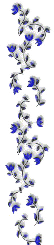 1_3_arnusha