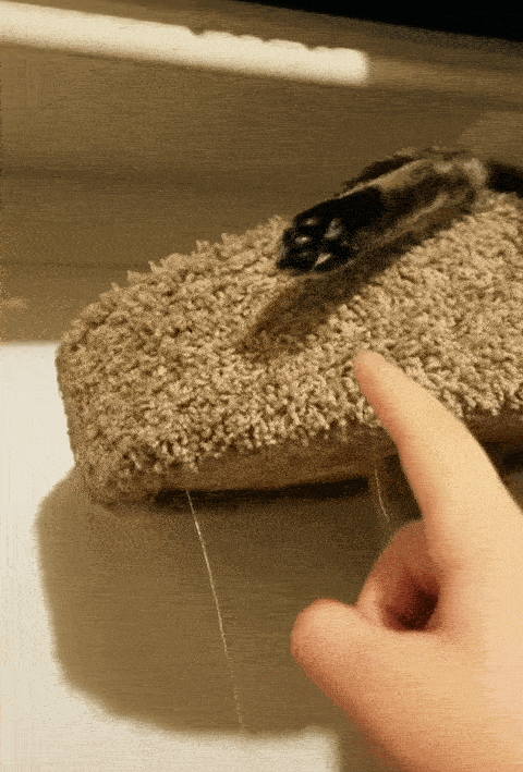 00de8226271d7bcf5d755dc23448609354e72cc3