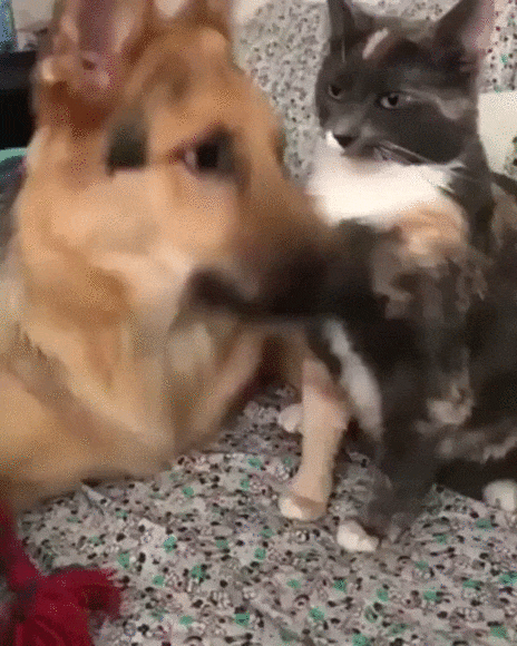 tmp_cleverpub_e3f1b18fdcd9c660d8e3ed4913665016