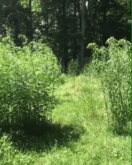 ezgif-5-fa361c034aa1