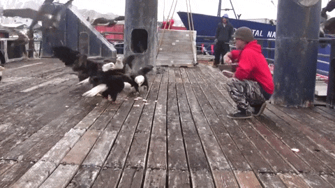 130d8b2cd31460a33e194172b7a117a1_342249_1566060642