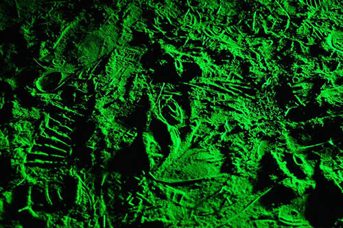 Jazz2011_101 (1)23 (1)