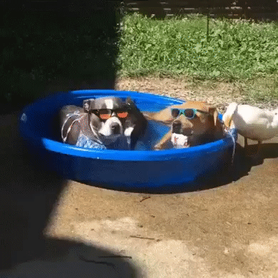 b9c04e771bba0df54978b41e05ccd04b_273238_1498502666