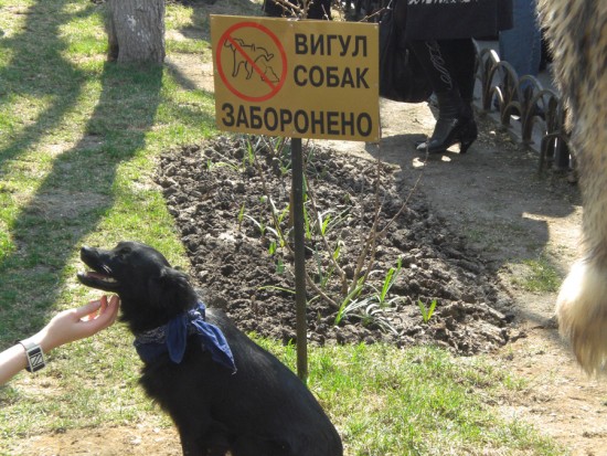 Одесса