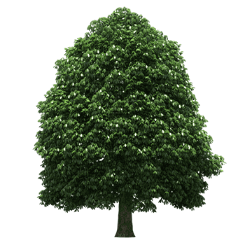 3372914645925168632%252525255B1%252525255D%2525252520(1)