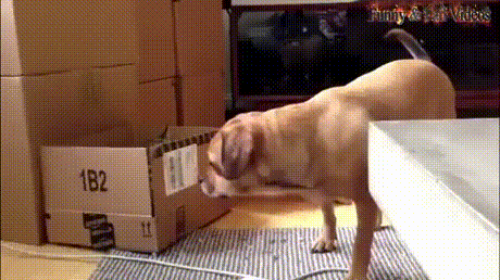 3d202aac578912d8f83593afdba11db8_273238_1498884431