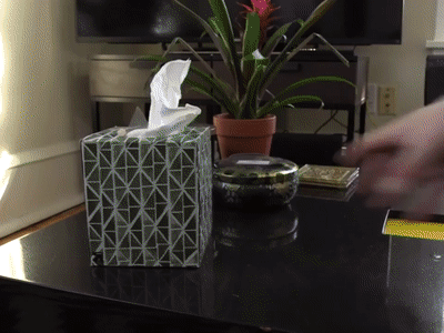 catism котококот