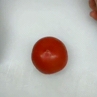 3ac5419abce3c1e25b1c915a17ec306e