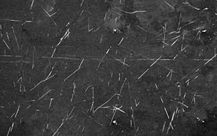 5b806fd8543771656db4e519 (1)