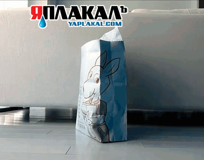 кошак-логотип-2