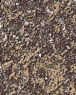 7_2
