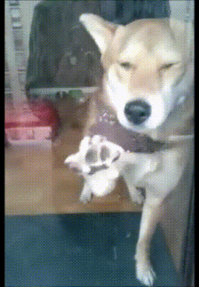 47eac4c7b10b0c26c5beec96594ab6b2