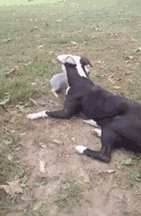 0c00eb24a70d82e9a05d42d53280c618