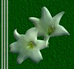 1_2_9