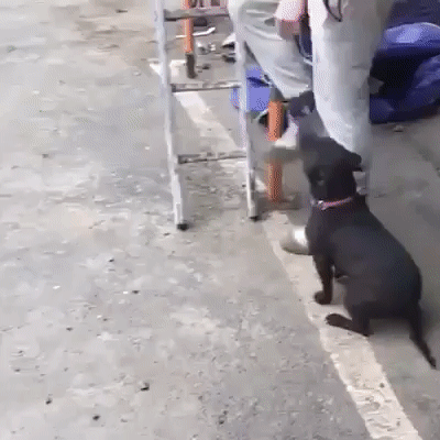 22c32bc3dadff1d4bd4f03e490f30ecb_273238_1499233636