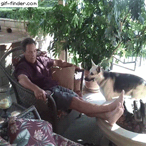 9943be340e50fbb255424393cfde7d72_237580_1529656929