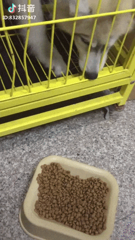 4a309f1d883faf85d6fc456957b1be00_237580_1529656974