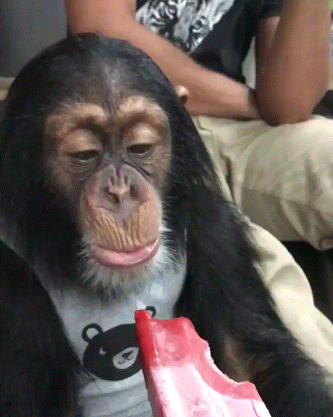 7582069cdb81849f7037211a9d80a3a4_237580_1529656966