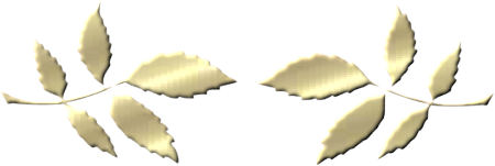 84