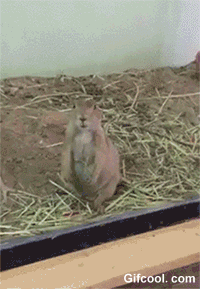 97f28aefb38ef0514fd73abd8796e43b_273238_1499836195