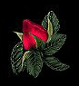 _arnusha