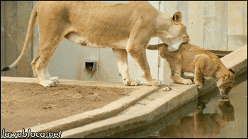 be37a1f2f774871c6e65f284855641dc_273238_1499768468