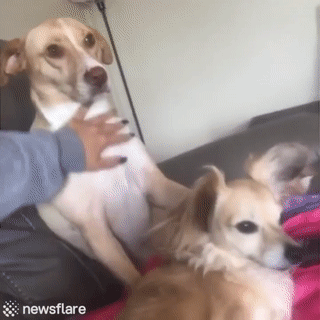 f030d4388204c20af4faaab1b565dee8_237580_1529656506