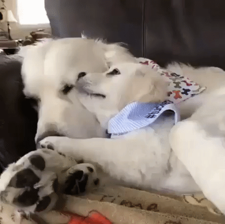 bb1432b4bc0c777e20c224e159e1c19b_273238_1500358474