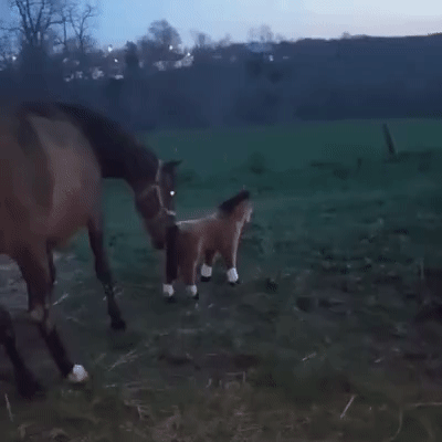 18975e280c906d1f628f2335b4e6ac7a_273238_1500358570