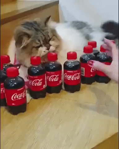 ezgif-2-c8a74965b219