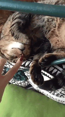 13fc2731ca8536ab1451d48a62e7b710_187945_1503008439