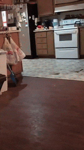 ezgif_com-optimize_4