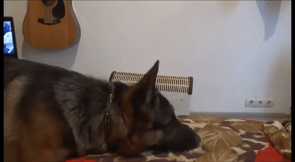 ezgif-2-beae4803c41b