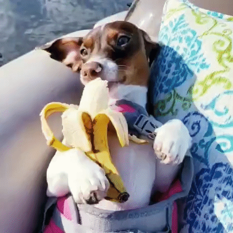 ezgif-2-86e56705721d