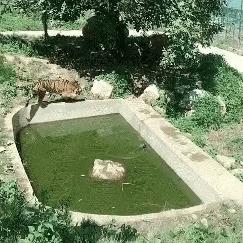 ezgif-2-2dcf373dcc11