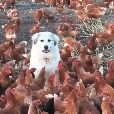 d7bad14690deed8779d35b98a064748b_273238_1501321420