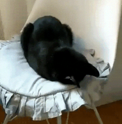 3aca59a710095c56f8b7b5812904fae7_273238_1501272573