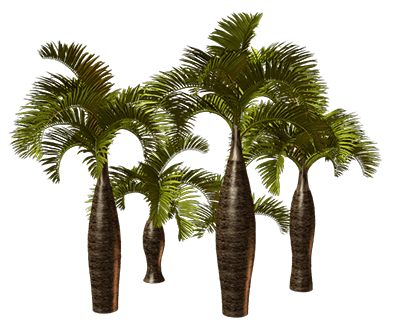 palms__29__by_ola55_d74u1zf-pre (1)