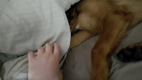 0bbaf2e5a6040f988f83d8f18656ba56_273238_1501766769