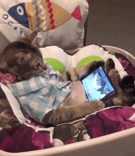 C5C9AD1F-E873-4042-B896-B0653A39D5E1