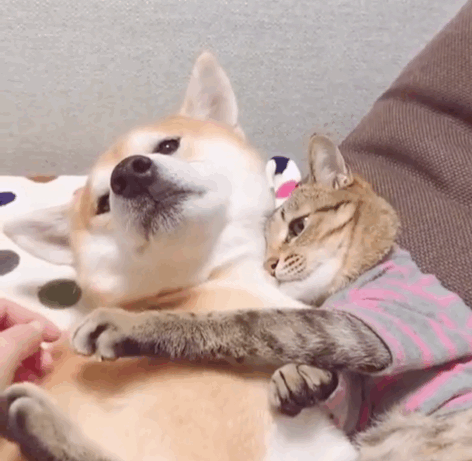 AFD28A41-AB79-41C7-A210-9300A1C1347C